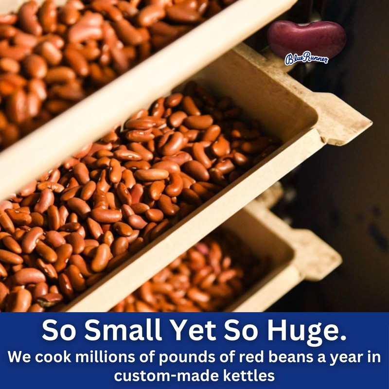 Blue Runner Creole Cream Style Red Beans (6-pack of 16-ounce