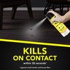 Raid Multi Insect Killer Aerosol Kills Ants Spiders Roaches and