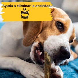 Anlolive Olive Wood Teething Ring for Dogs | Eliminates Anxiety (L/2 Biter)