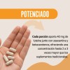 Restart Luteína 40mg Zeaxantina Complejo Carotenoides Máxima Concentración Betacaroteno Zinc