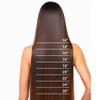 Hair Extensions, 1 Braid, Hair Thickening, Smooth with Invisible Wire