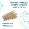 Preserve Flavored Toothpicks, Mint Tea Tree, 3 Count