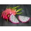 Dragon Fruit Cactus Tree Seeds