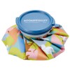 Skater ICB1-A Ice Bag S Ice Bag Hyo Moomin Anime,