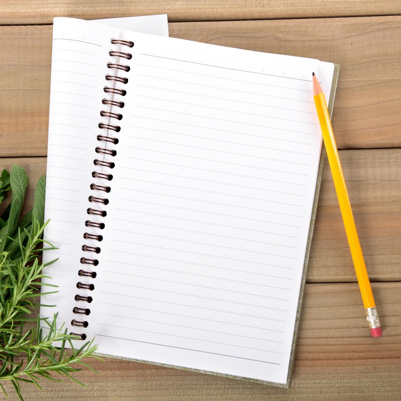 Ecezatik Women of the Bible Christian Notebook Journal - Inspirational