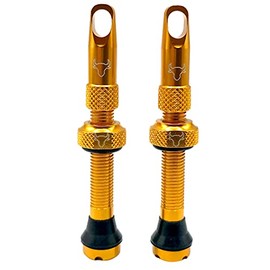 Hold Fast Cycling Tubeless Valve Stem, 42mm (Pair), Gold - 42GLDI