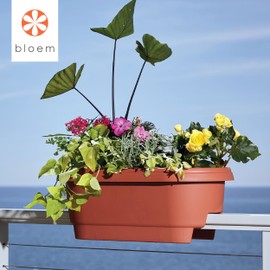 Bloem Llc 477241-1001 24" Terracotta Colored Deck Rail Planter