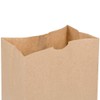 Heavy Duty 57 Lb Large Brown Paper Bag – 50