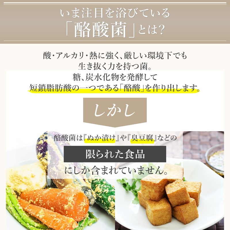 コンフォートスタイル フローラ 菌活 サプリ (30回分 60カプセル) 生菌 (乳酸菌 × ビフィズス菌