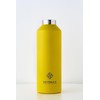 REVOMAX Carbonated Vacuum Insulated Bottle, No Cap, 32 oz, 950