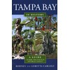 Tampa Bay in History