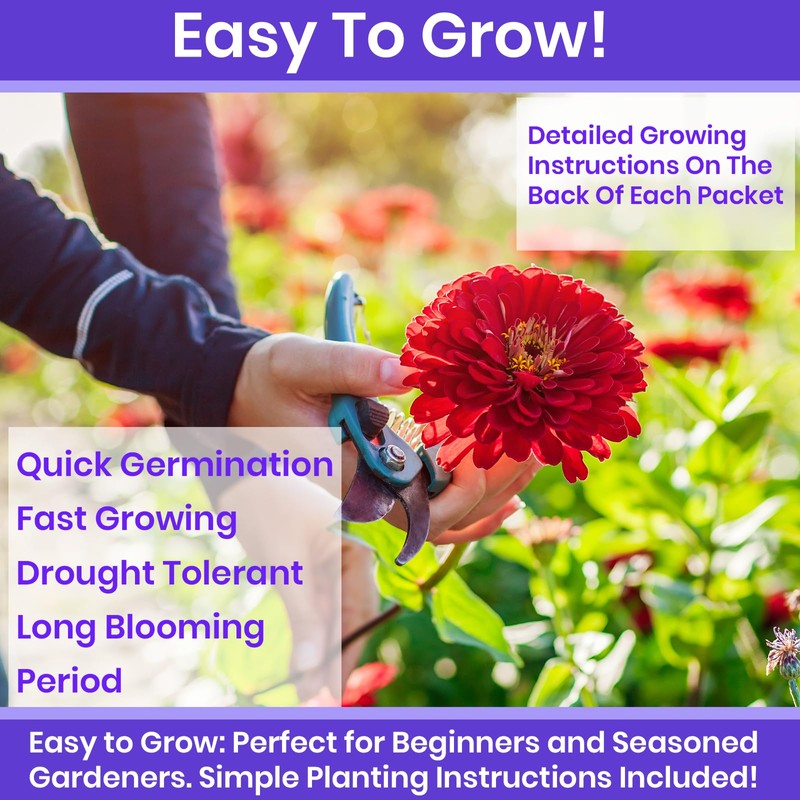 NatureZ Edge NatureZ Edge Zinnia Seeds for Planting Outdoors, Flower