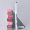 Oiad Blur Fixing Lip Pencil 0.5g - 03 BROZE