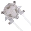 6v Dc DIY Dosing Pump Peristaltic Dosing Head for Aquarium/chemical
