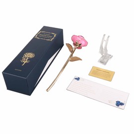 Ejoyous 24K Gold Dipped Real Flower Leaves, Romantic Golden Rose Pink with Stand