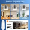 putroad 42 Inch Ceiling Fans with Lights, Modern Brushed Nickel