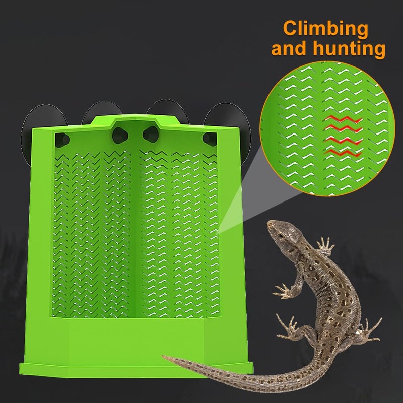 DONGKER Bearded Dragon Feeder,Anti-Escape Lizard Corner Terrarium Bowl with Suction