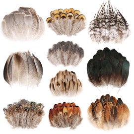 Mehellofeather Small Natural Pheasant Feathers 10 Style Mixed Feathers for Cowboy Hat Decorative Feathers (300Pcs)