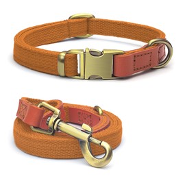 Qianruida Dog Collar and Lead Set, Dog Collar and Lead, Adjustable Dog Collar, Lead for Small, Medium, Large Dogs, Orange, M