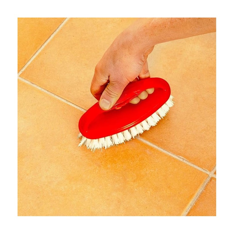 Parodi & Parodi spazzolinda Clothes Peg Brush, Plastic, Multi-Colour, 11