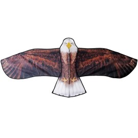 Besra 74inch Eagle Kite Bird Kite with Flying Tools Outdoor Fun Sports for Beach (Eagle)