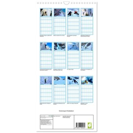 Familienplaner 2025 - Extremsport Eisklettern mit 5 Spalten (Wandkalender, 21 cm x 45 cm), CALVENDO