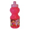 Fun House Dora Sports Flask, Dora