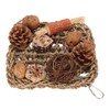 Bird Climbing Net Rattan Ball Pine Cone Corn Cob Nuts