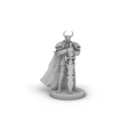 Fallen Paladin 2 Tabletop DND Gaming Miniature