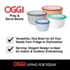 Oggi Prep, Store & Serve Plastic Bowl w/See-Thru Lid- Dishwasher,