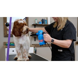 METROVAC Air Force Quick Draw PED-500V Variable Speed High Velocity Dog Hair Dryer | Portable Pet Grooming Blower