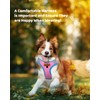 Dog Harness with Leash Set, No Pull Dog Harness for