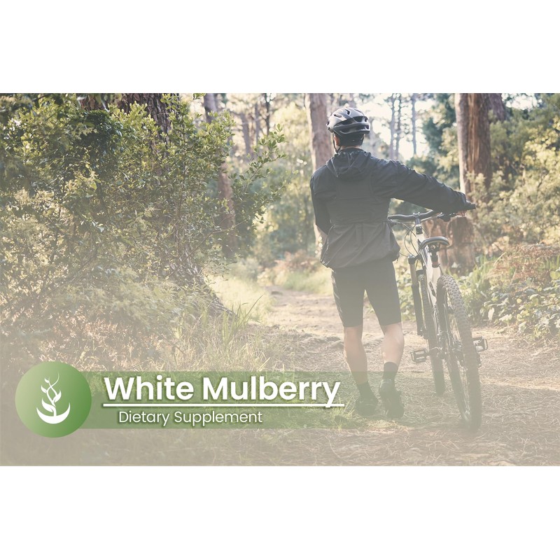 Pure Original Ingredients White Mulberry Leaf Extract (100 Capsules) Always