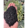 BioChar : PyroChar Pyrolysis Based Biochar: 1 Cubic Foot