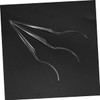 BIUDECO 3pcs Grafting Eyelash Display Tool Curve for Fit and