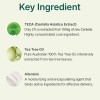 Polvo Tea Tree Ac Centellian 24 Control De Aceite 0.21