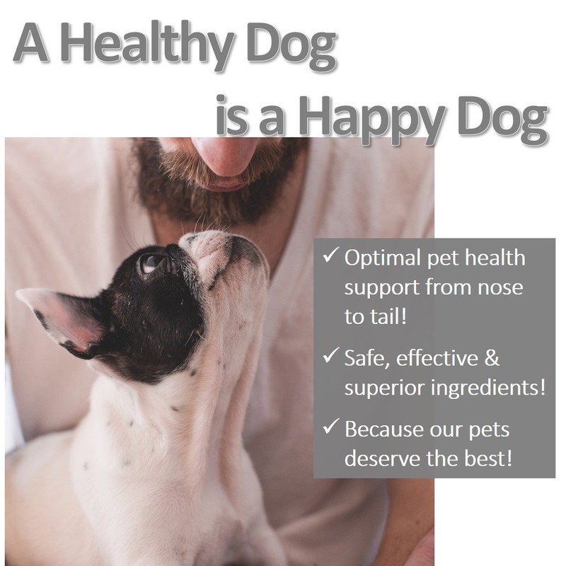 Vet Worthy Pet Potty Hydrant for Dogs