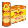 Topo Chico Sabores Tangerine with Ginger Extract 12oz 8pk