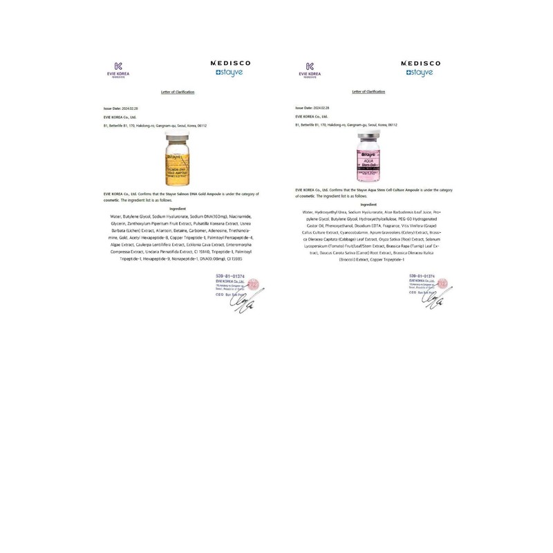 Stayve BB Shine Glow Customized Kit Booster and Pigments Mix