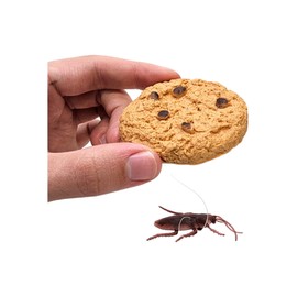 Zugar Land Cookie Surprise (1 Piece) Soft Plastic Prank Toy with Cockroach Great for Gags (1 Piece)