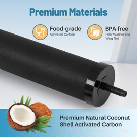 ICEPURE Water Filter Replacement for Berkey® BB9-2 Black Purification Elements, Berkey® Gravity-fed Water Filter System, 2PACK