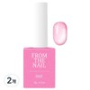 From the Nail MAGNET GEL FG28, 2 pieces, pink (FG289) / 프롬더네일 MAGNET GEL FG28, 2개, 분홍(FG289)