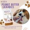 Café Nara Peanut Butter Flavored Lickable Treats for Dogs -