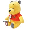 Rainbow Designs Winnie the Pooh Teddy Bear - Winnie the