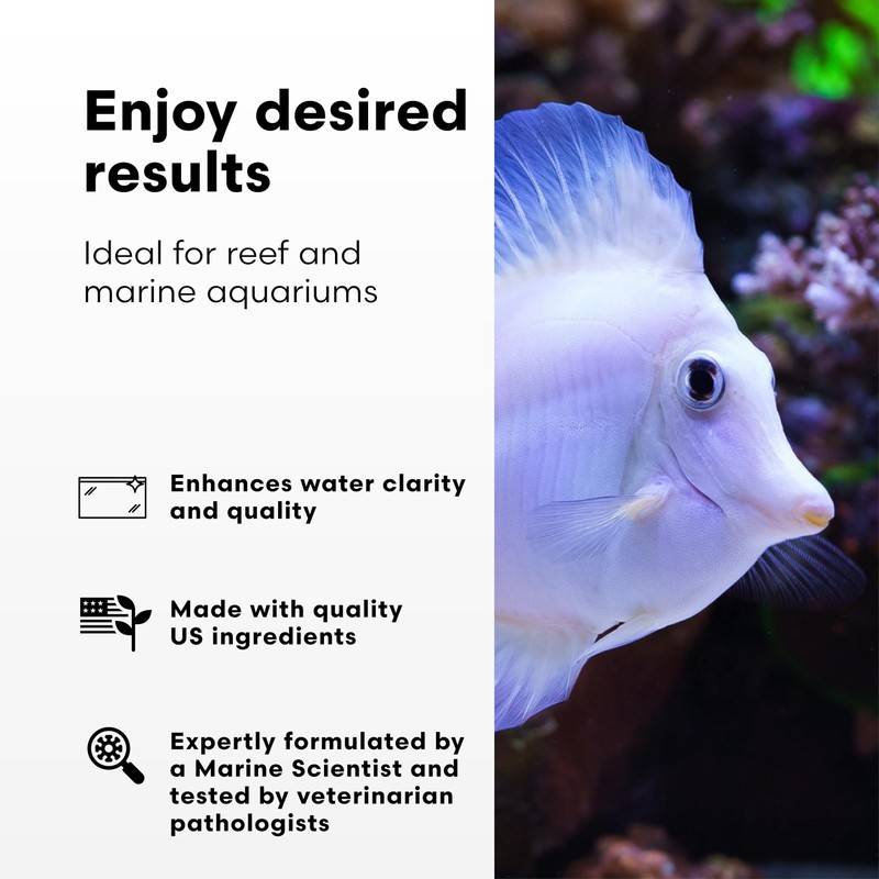 Continuum Aquatics Phos Correx – Advanced Phosphate Remover for Reef