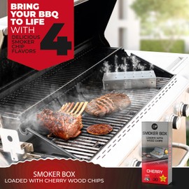 KITCHEN PERFECTION Smoker Box Filled with Cherry Wood Chips -Top Grill Smoker Box, Adds Delicious Smokey Flavor on Gas Grill/Charcoal Grills, Stainless Steel BBQ Grill Accessories Grill Master Gift
