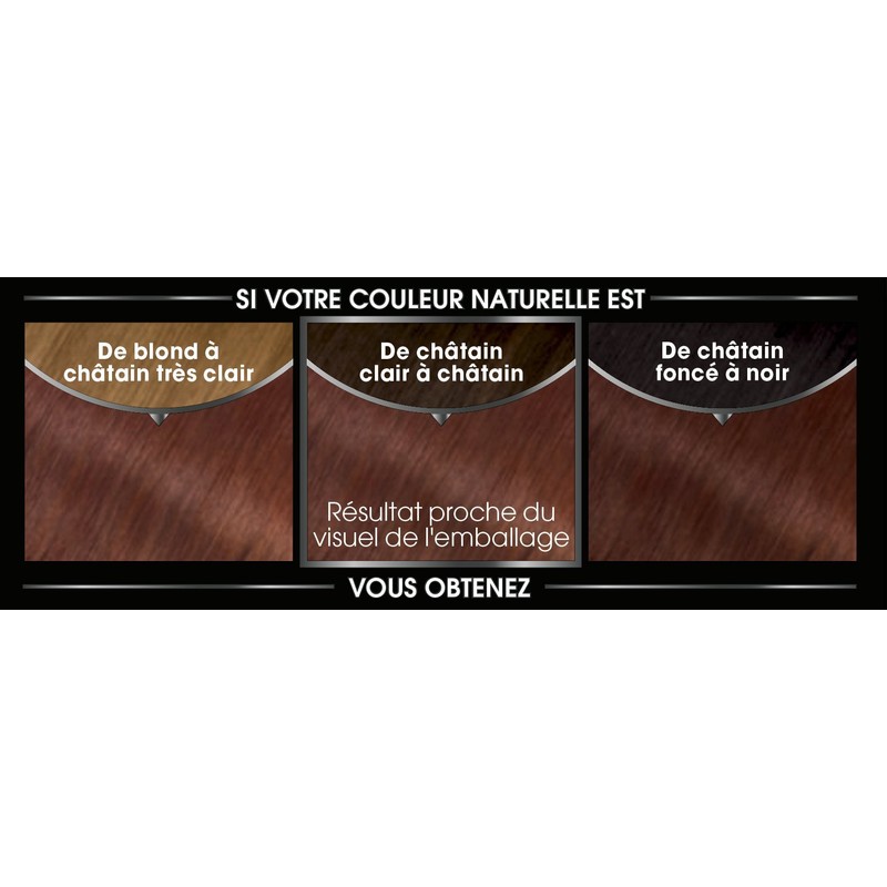 Garnier Olia Hair Dye n° 5.5