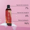 JBCO Shampoo