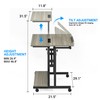 Panta Mobile Standing Desk, Adjustable Rolling Computer Desk with 3