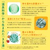 きき湯【薬用入浴剤】重曹カルシウム炭酸湯 花の香り 360g(約12回分) バスクリン 炭酸入浴剤